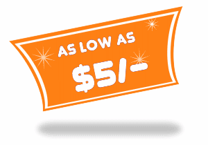 Courier Prices as low as $5 Courier Prices as low as $5